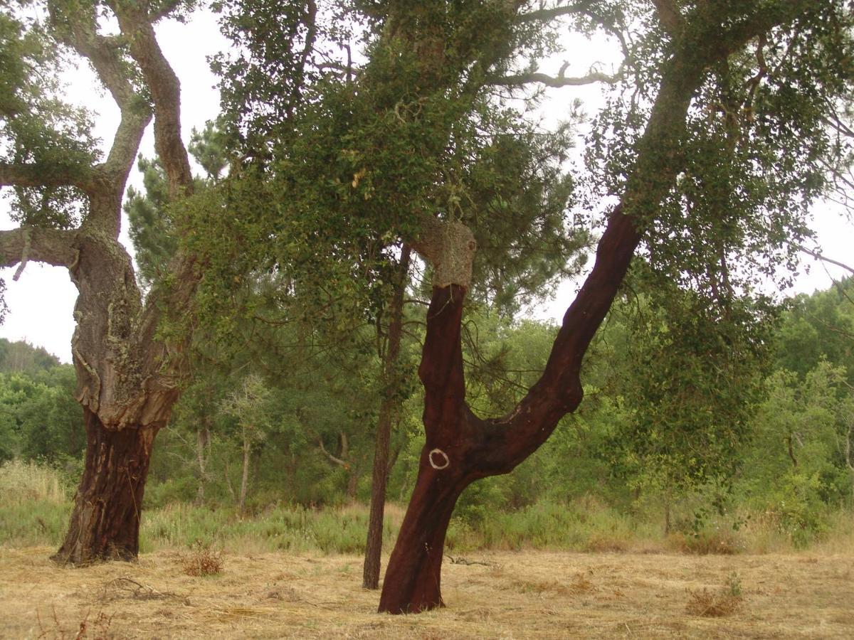 Herdade Rodrigo Afonso *